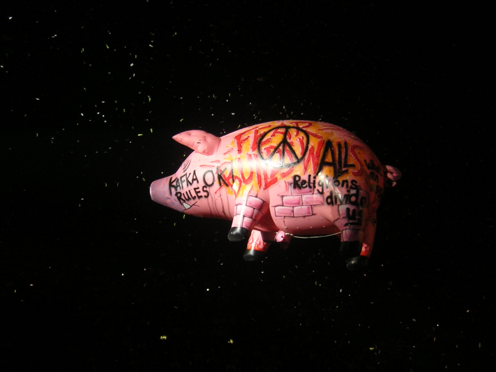 Il Pink Floyd pig